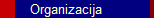 Organizacija